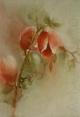 unknow artist Lydia Leydolf Magnolien oil painting picture